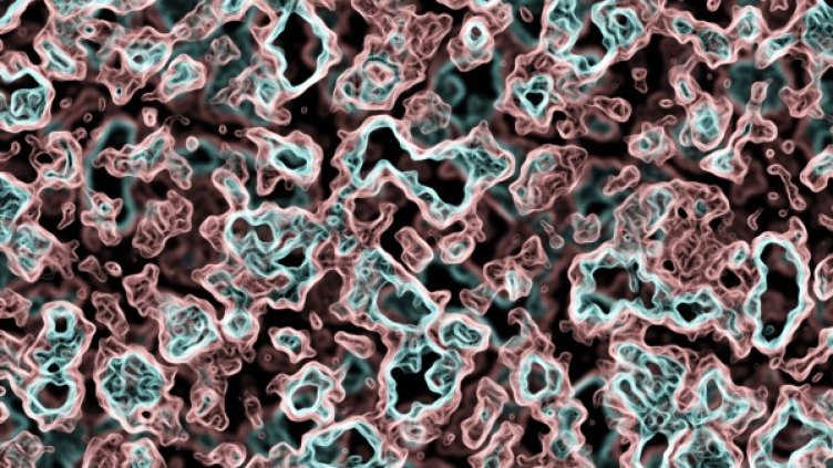 Снимка: freeimages.com