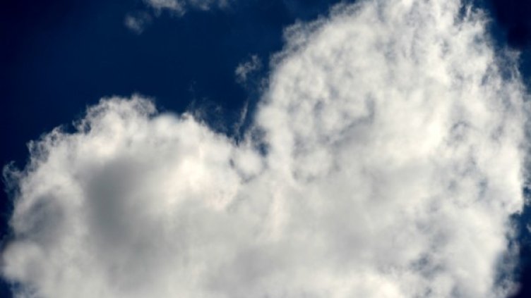 Снимка: freeimages.com