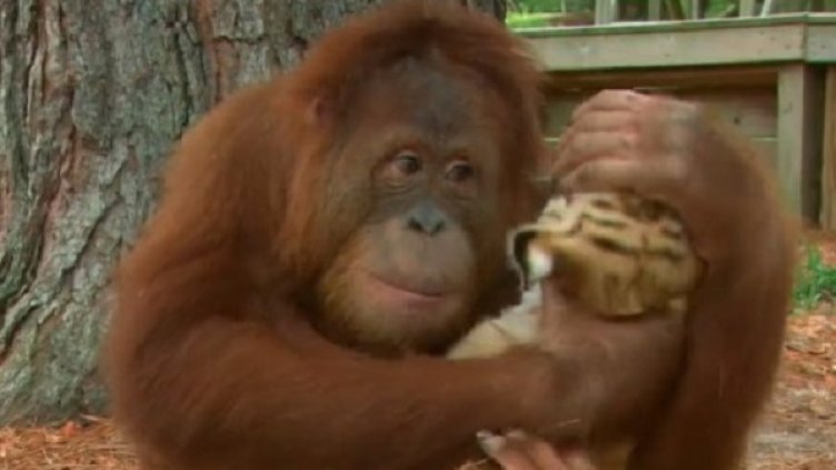 Снимка: Facebook