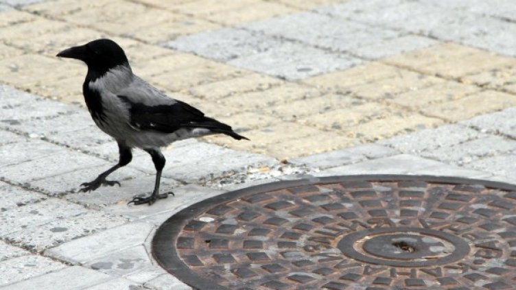 Снимка: Булфото, архив