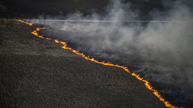 Пожарът до "Чернобил". Снимка: Reuters
