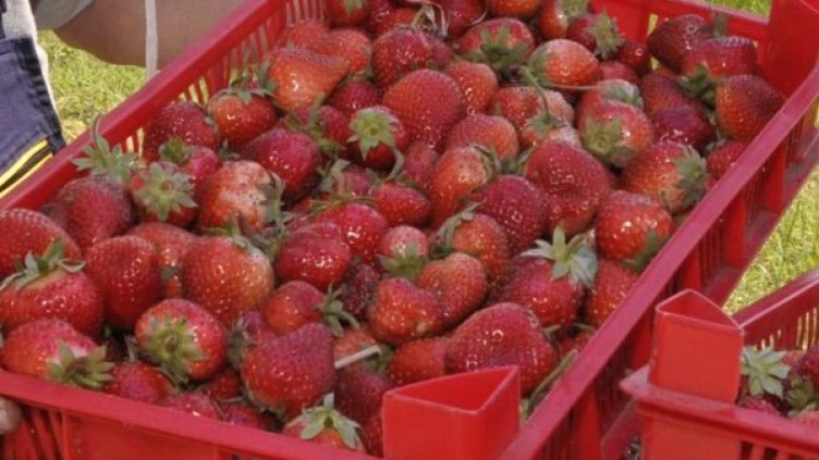 Снимка: Булфото, архив