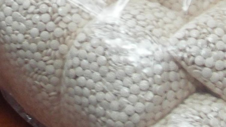 Снимка: Булфото, архив