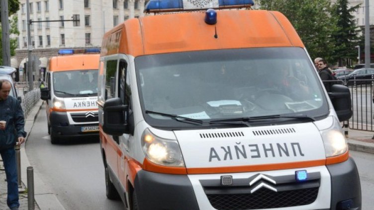 Снимка: архив Булфото