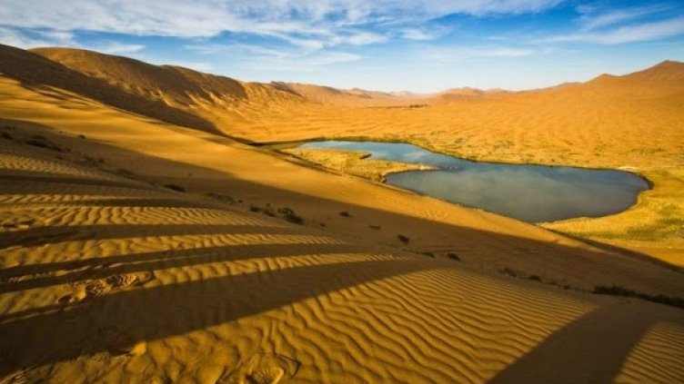 Снимка: flickr.com