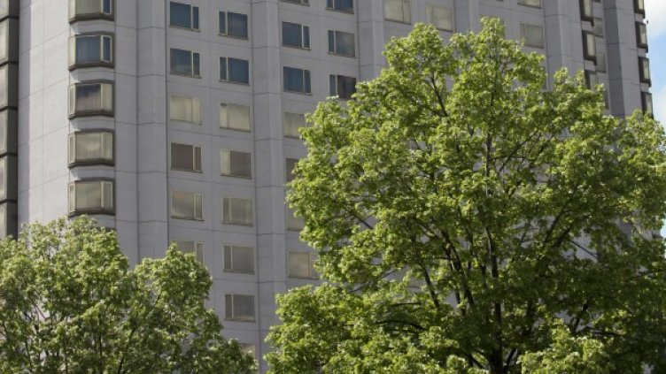 Снимка: архив Булфото