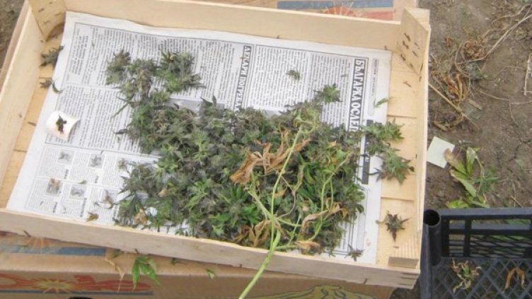 Снимка: Булфото, архив