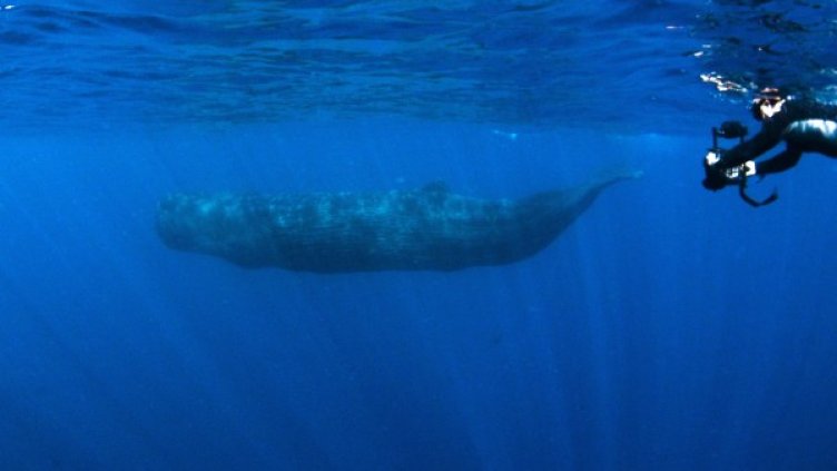 Снимка: архив, Reuters