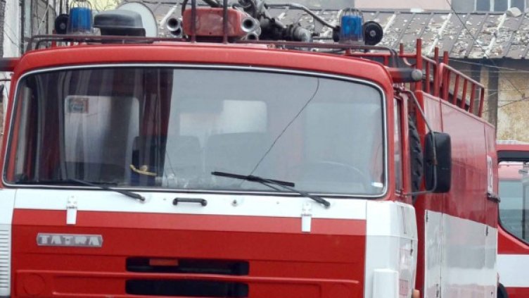 Снимка: архив, Булфото