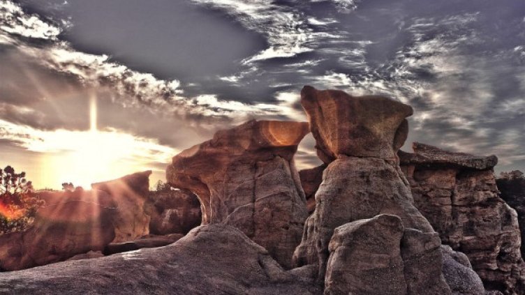 Снимка: markflowerphotography.com