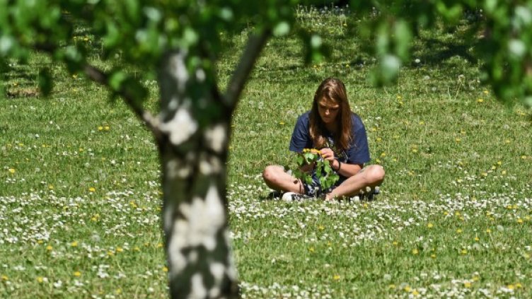 Снимка, архив Булфото