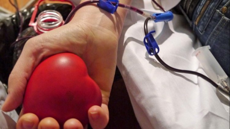 Снимка: Булфото, архив