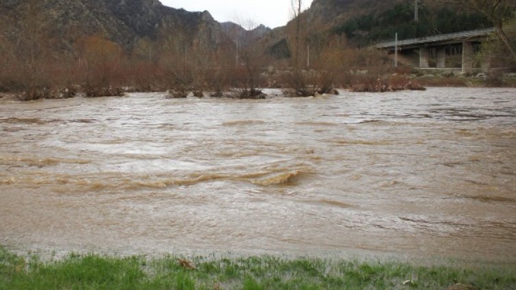 Снимка: Булфото, архив