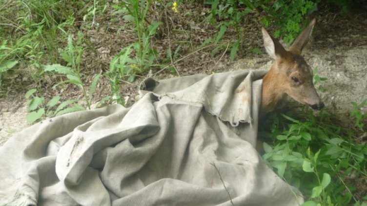 Снимка: Нова тв