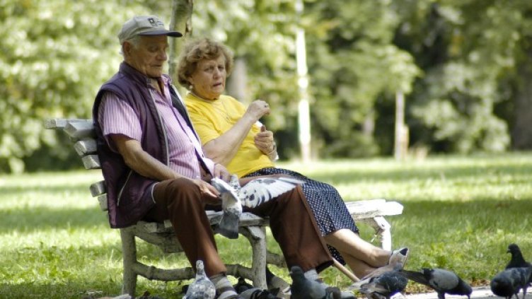 Снимка: Булфото, ахрив