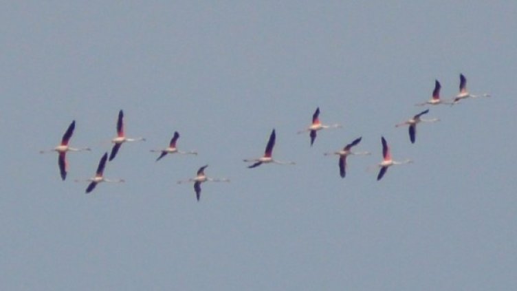 Снимка: БДЗП