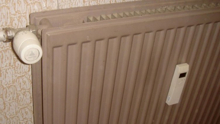 Снимка: Булфото