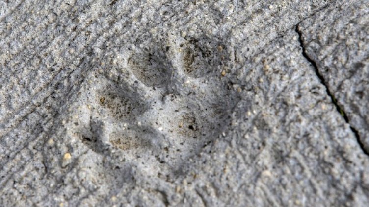 Снимка: архив, Reuters