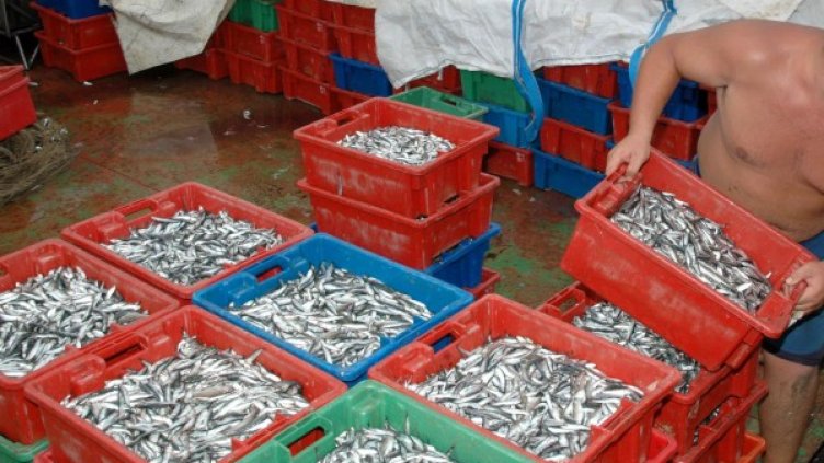 Снимка: архив Булфото