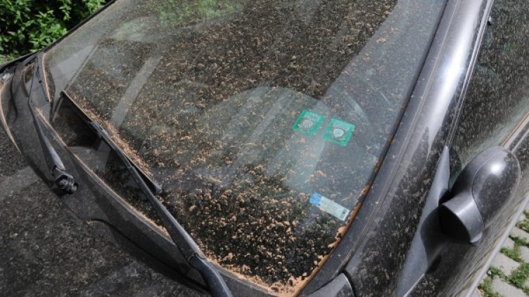 Снимка: архив, Булфото