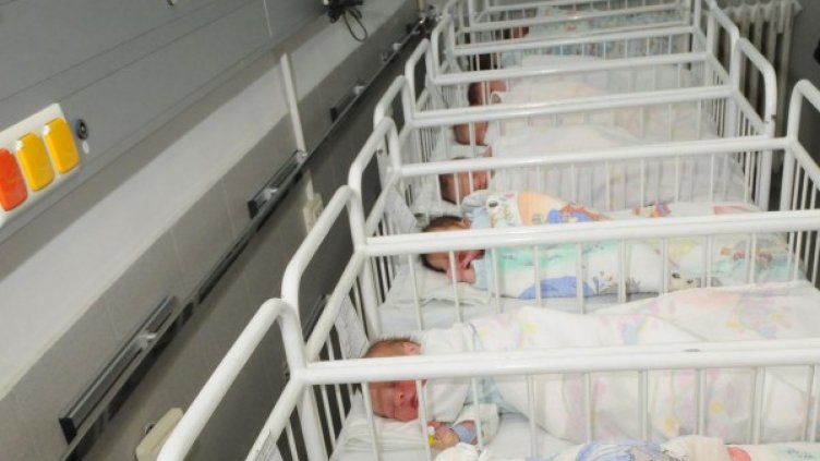 Снимка: Булфото, ахрив