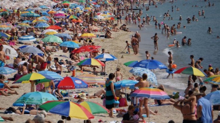 Снимка: Булфото, ахрив