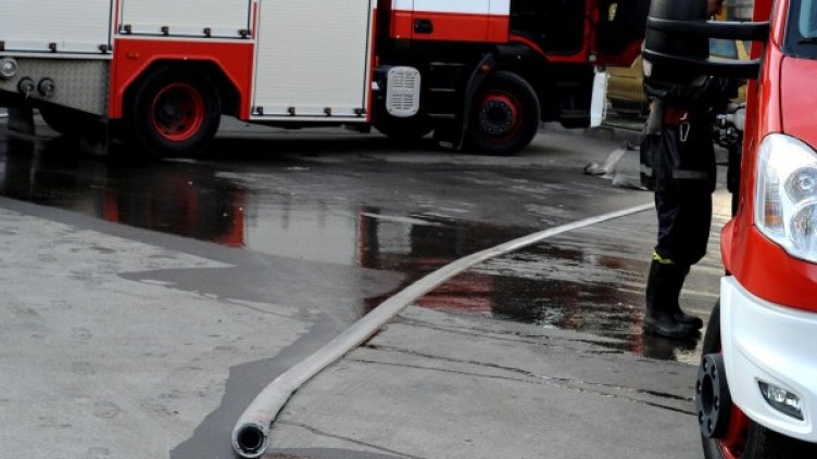 Снимка: архив Булфото