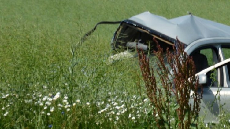 Снимка: Булфото, архив