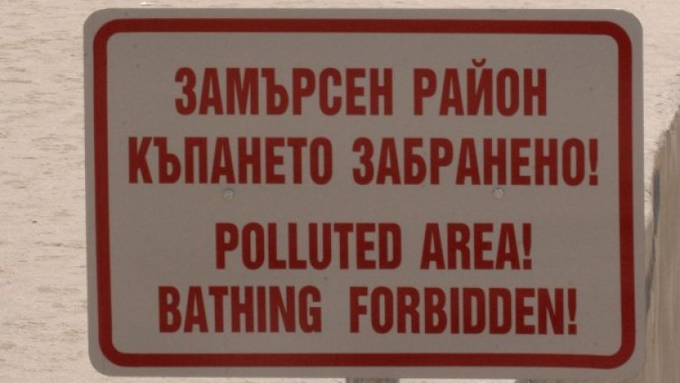 Снимка: архив Булфото