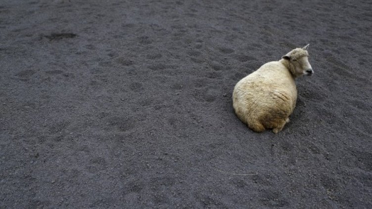 Снимка: Reuters, архив