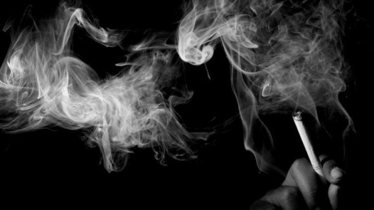 Снимка: flickr