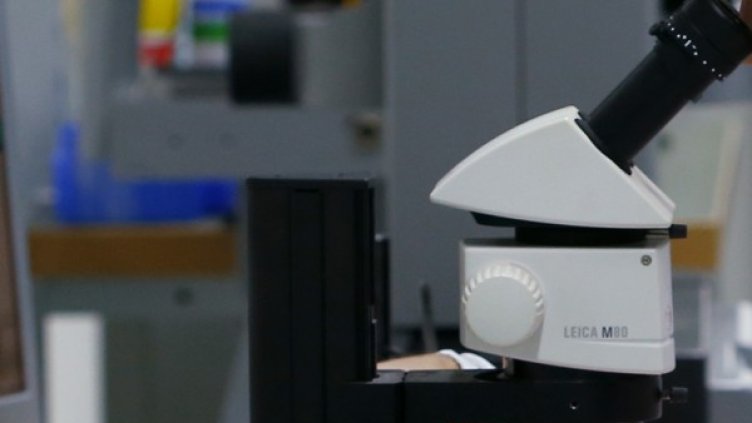 Снимка: Архив Reuters