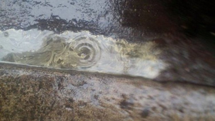 Снимка: Facebook