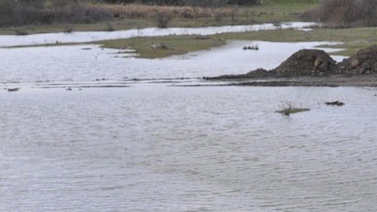 Снимка: архив, Булфото