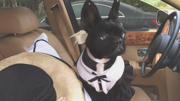 Снимка: Instagram