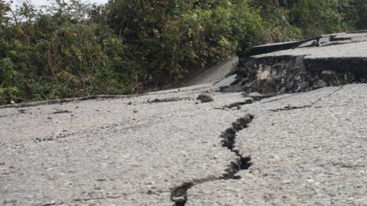 Снимка: Булфото, архив