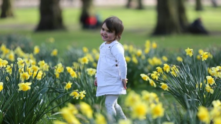 Снимка: Reuters, архив