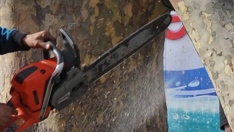 Снимка: Булфото, архив