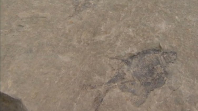 Снимка: Bulgaria On Air