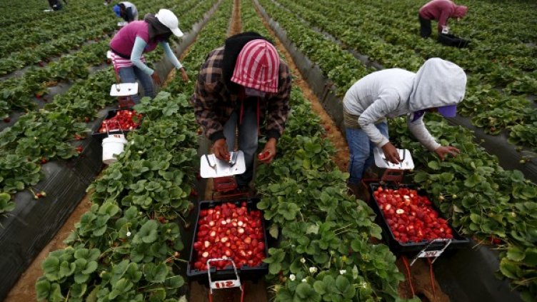 Снимка: архив, Reuters