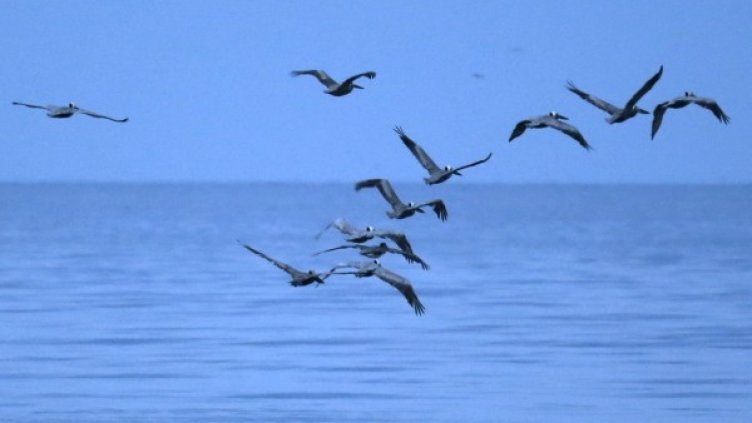 Снимка: архив, Reuters