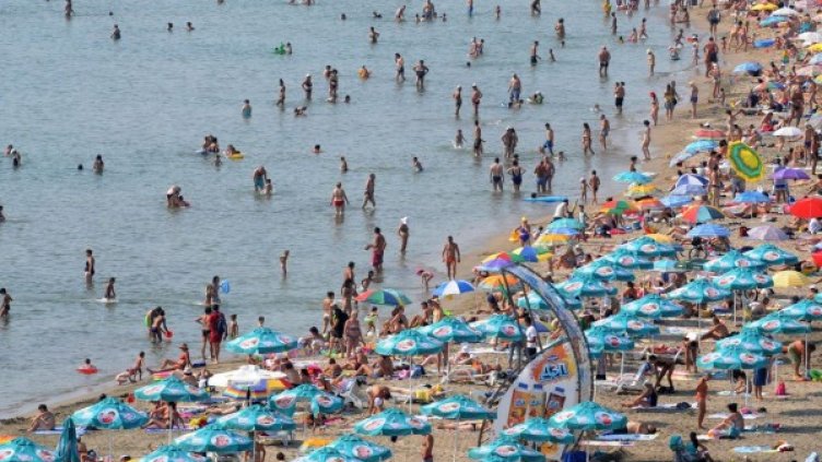 Снимка: архив, БулФото