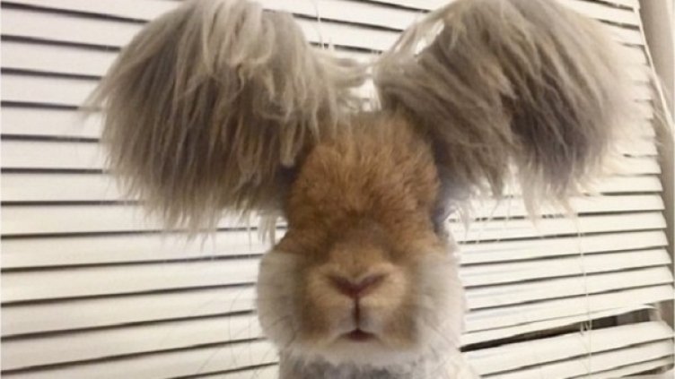 Снимка: Instagram