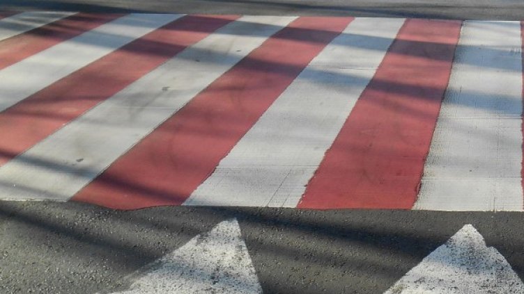 Снимка: Булфото, ахрив