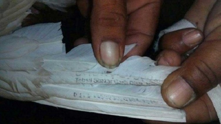 Снимка: YouTube
Снимка: YouTube