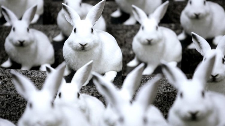 Снимка: Reuters, архив