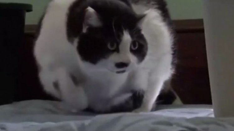 Снимка: YouTube