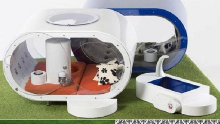 Снимки: Designswan