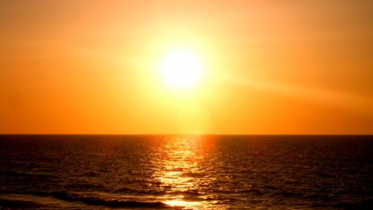 Снимка: freeimages.com