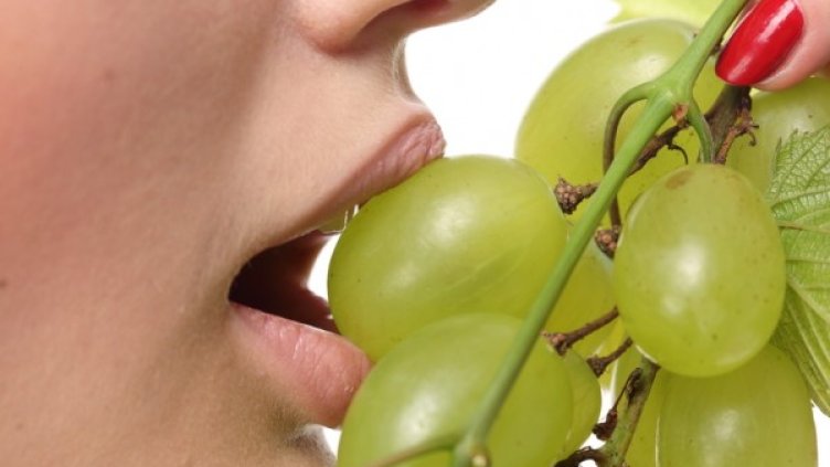 Снимка: photl.com